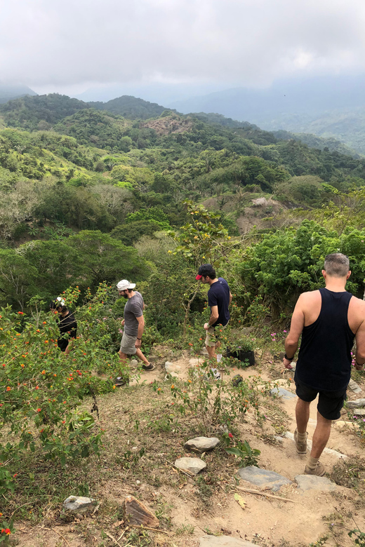 Expedition Tour Minca: Trekking, Landscape, Waterfalls, and Birds - Unsuitable for
