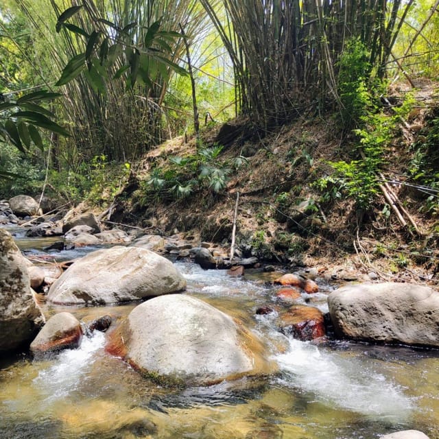 Expedition Tour Minca: Trekking, Landscape, Waterfalls, and Birds - Recap
