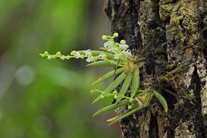 Expeditions of Cenotes in Puerto Morelos - Frequently Asked Questions