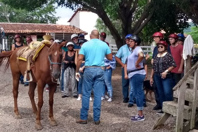 Experience 3 in 1 - Horse Riding, Zipline & ATV - Transportation Options