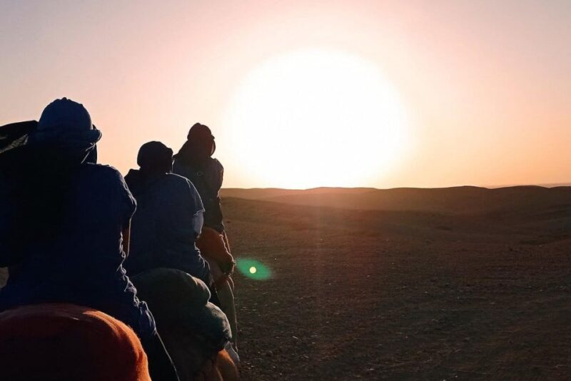 Experience a Camel Tour Through Palm Oasis and Jbilat Desert - Camel Ride Adventure