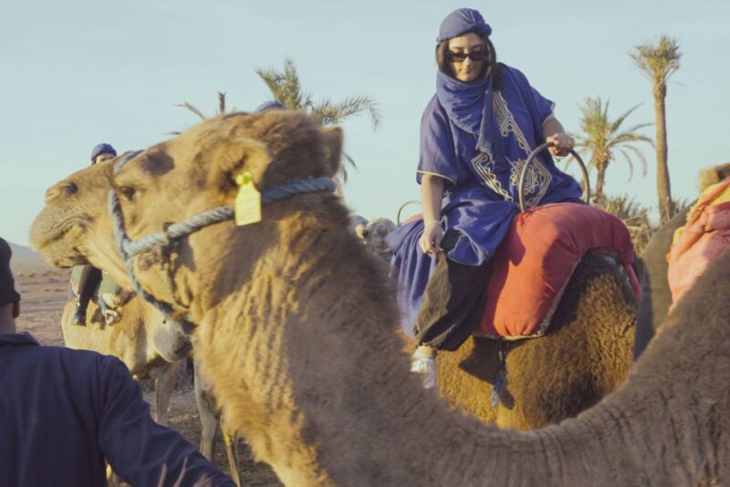 Experience a Camel Tour Through Palm Oasis and Jbilat Desert - Quad Bike Escapades