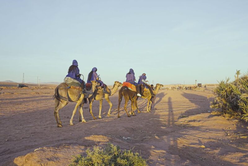 Experience a Camel Tour Through Palm Oasis and Jbilat Desert - Cultural Immersion