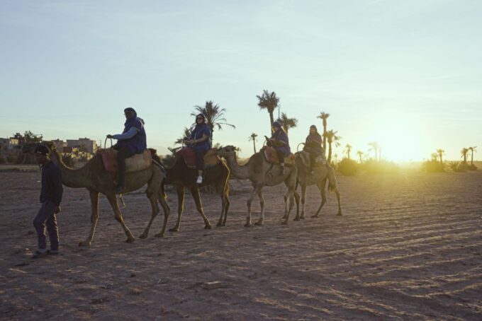 Experience a Camel Tour Through Palm Oasis and Jbilat Desert - Frequently Asked Questions
