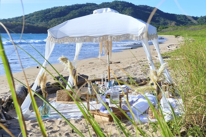 Experience a Luxurious and Unique Beach Picnic Near Tamarindo - Meeting and Logistics