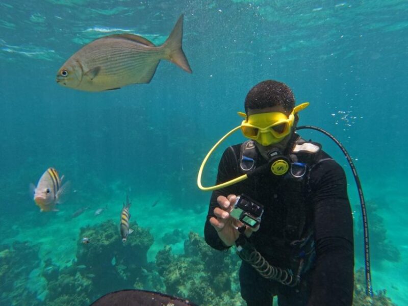 Experience a Submarine Scooter With Scubadoo in Punta Cana - Accessibility and Equipment