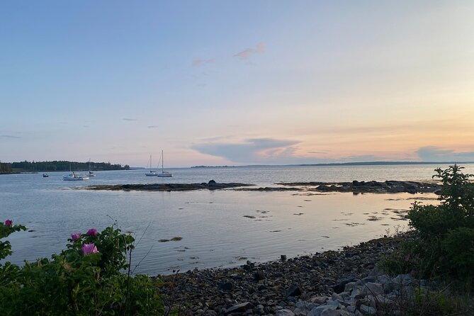 Experience Acadia: Private 3-Hr Tour With Local Guide. - Accessibility and Participation