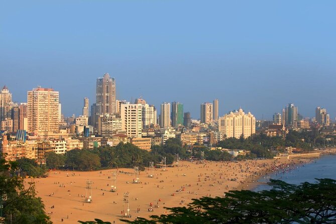 Experience and Fall in Love With the Street Food of Mumbai, India - Key Points