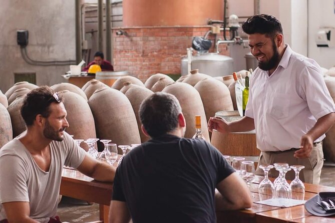 Experience and Tasting of Pisco and Peruvian Wine - Tacama