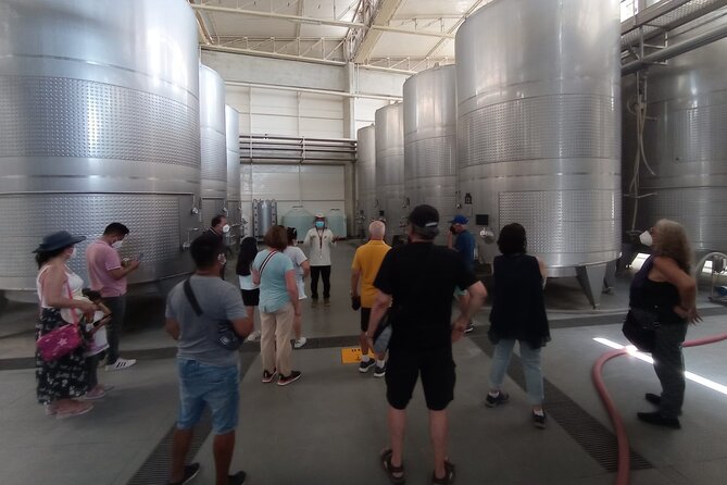 Experience and Tasting of Pisco and Peruvian Wine - Confirmation and Accessibility