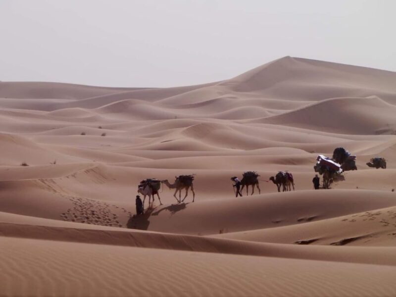 Experience Another Way of Living MHamid : Nomads Life Style - Key Points