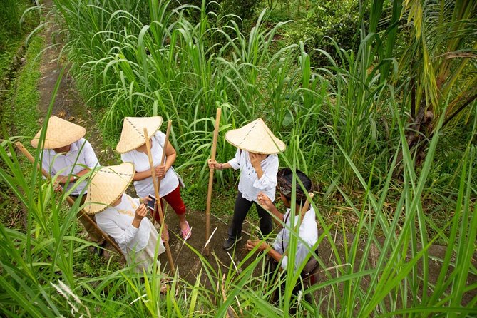 Experience Authentic Balinese Village Life on a Day Trip - Ubud - Key Points