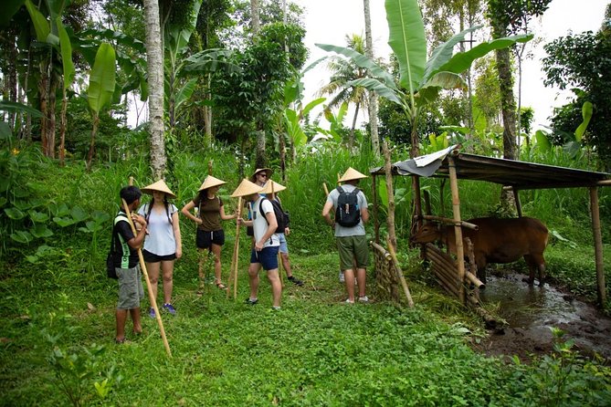 Experience Authentic Balinese Village Life on a Day Trip - Ubud - Pickup Information