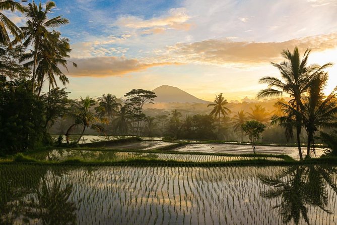 Experience Authentic Balinese Village Life on a Day Trip - Ubud - Pricing and Cancellation