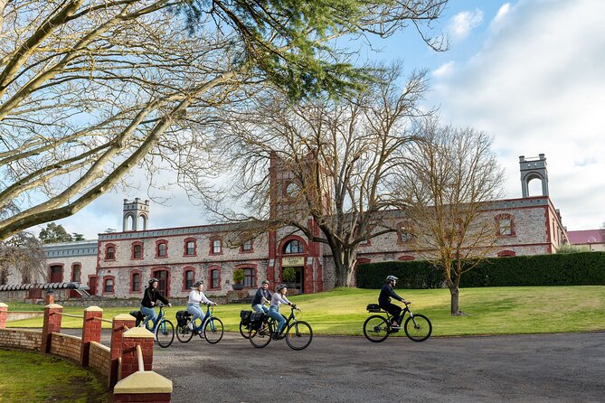 Experience Barossa Valley by E-bike - Health, Safety, and Booking Details