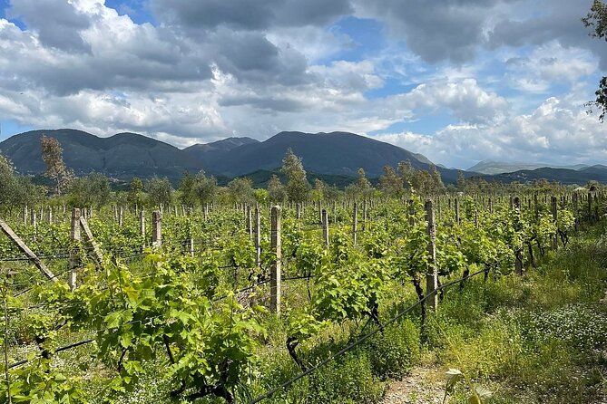 Experience Blue Eye , Lekuresi Castle and Taste Traditional Albanian Wine - Visiting Lekuresi Castle