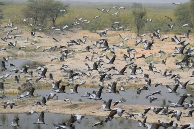 Experience Camel Riding, Jeep Safari, Meal in Osian Villlage - Transportation and Accessibility