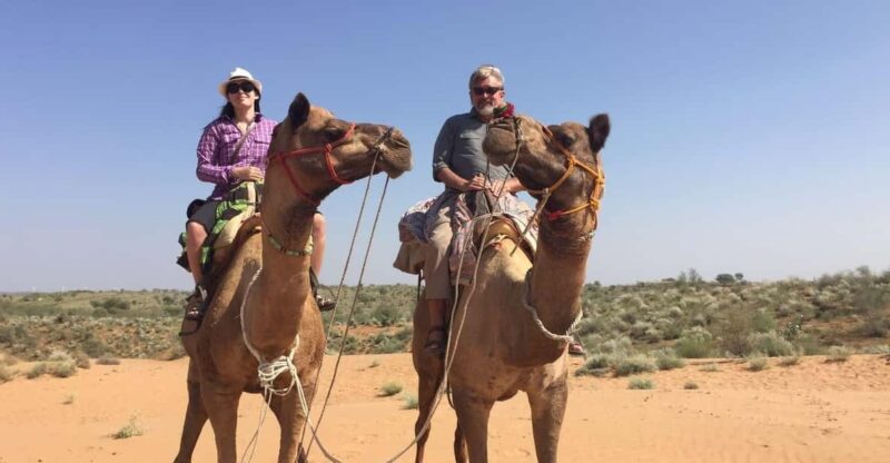 Experience Camel Safari in Desert of Rajasthan Near Jodhpur - Key Points