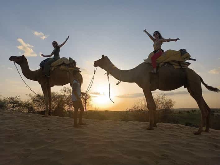 Experience Camel Safari With Overnight Stay With Transport - Key Points