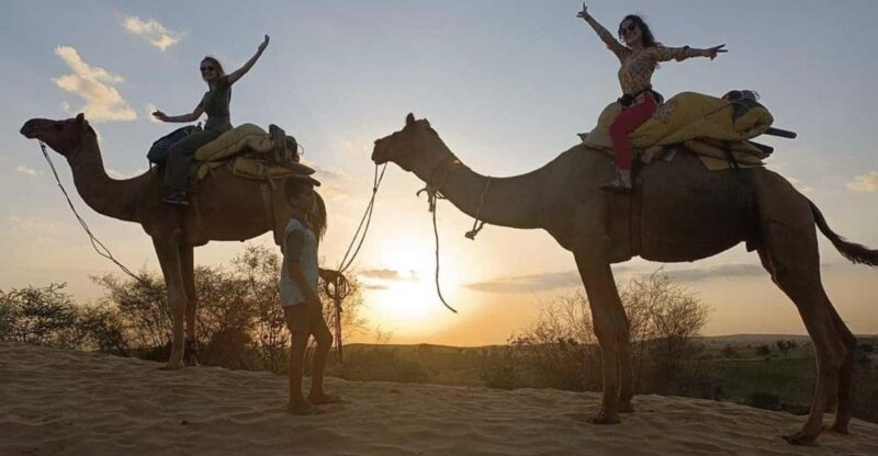 Experience Camel Safari With Overnight Stay With Transport - Transportation and Guide