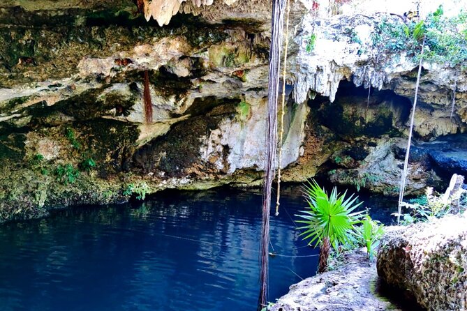 Experience Cancuns Hidden Gems, Mayan Museum, Cenote & Market 23 - Accessibility and Participation