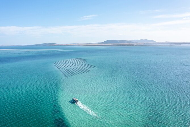 Experience Coffin Bay Oyster Farm and Bay Tour - Inclusions and Exclusions
