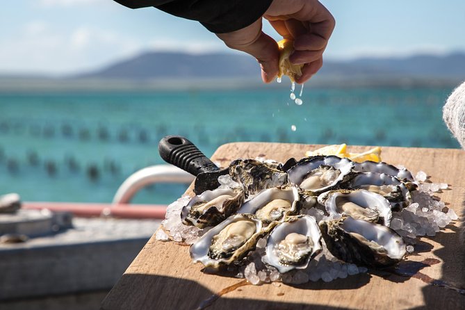 Experience Coffin Bay Oyster Farm and Bay Tour - Additional Tour Information