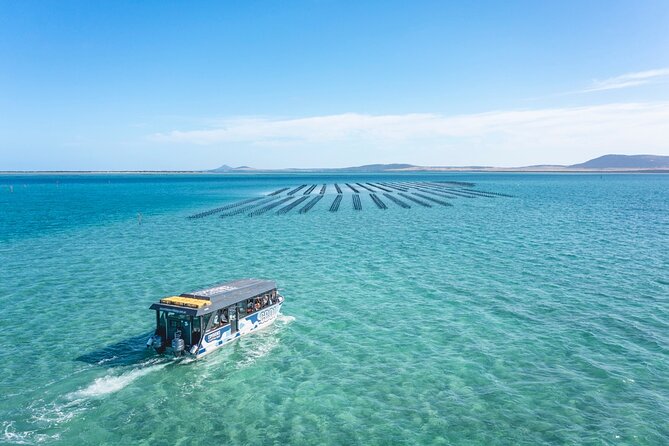 Experience Coffin Bay Oyster Farm and Bay Tour - Accessibility and Participation