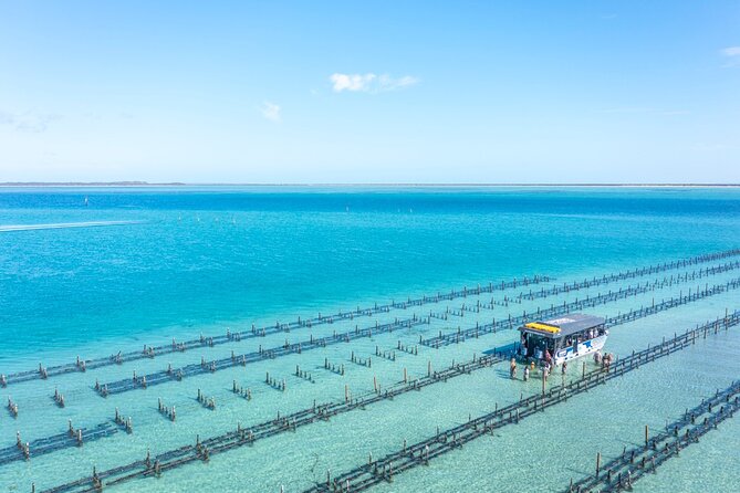 Experience Coffin Bay Oyster Farm and Bay Tour - Confirmation and Availability