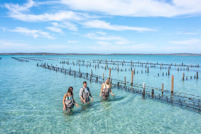 Experience Coffin Bay Oyster Farm and Bay Tour - Boat and Beverages