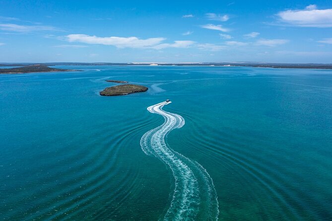 Experience Coffin Bay Short and Sweet Oyster Farm Tour - Tour Highlights