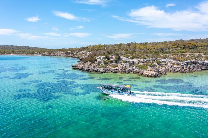 Experience Coffin Bay Short and Sweet Oyster Farm Tour - Exploring Oyster Farming
