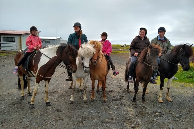 Experience Countryside of Iceland by Horseback Riding - Preparing for the Tour