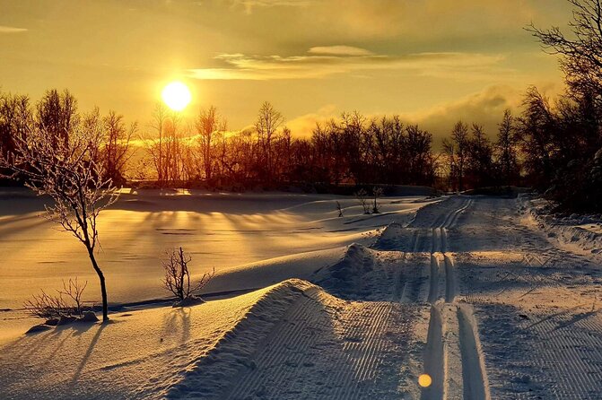 Experience Cross-Country Adventure in Tromsø - Meeting Point and Location Details
