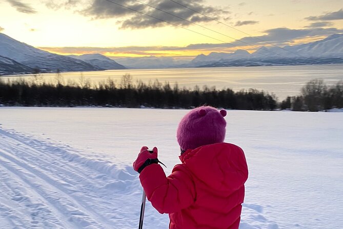Experience Cross-Country Adventure in Tromsø - Participant Feedback and Ratings