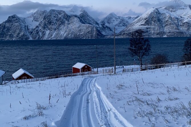 Experience Cross-Country Adventure in Tromsø - Memorable Experience With Beautiful Landscapes