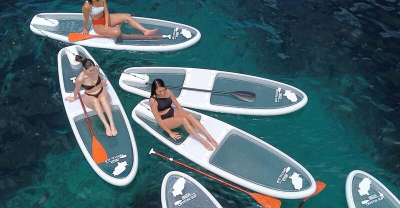 Experience Crystal Paddle Sup Tours + Snorkel - Key Points