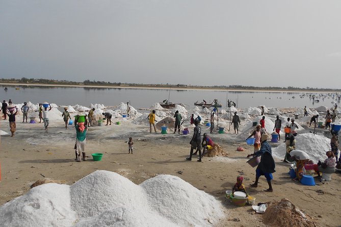 Experience Dakar-Goree-Pink Lake-Safari Tour in 2 Days - Key Points