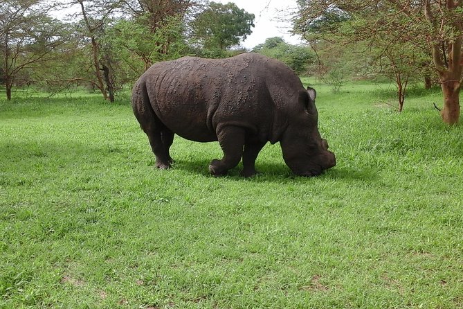 Experience Dakar-Goree-Pink Lake-Safari Tour in 2 Days - Pickup Information