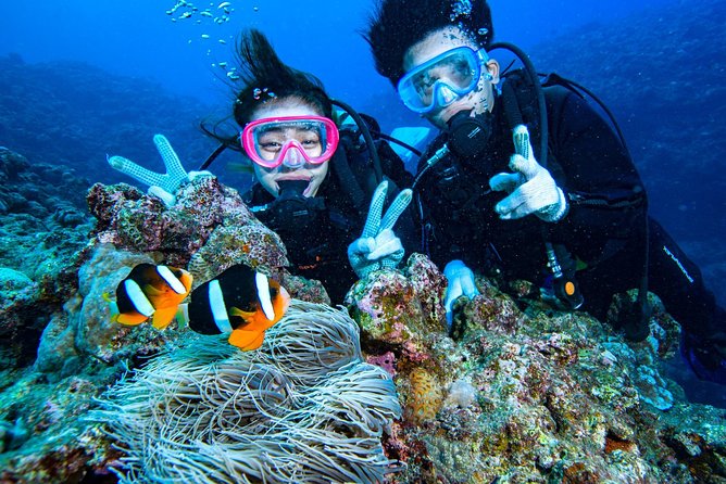 Experience Diving & Banana Boat by Boat - Meeting and Pickup Details