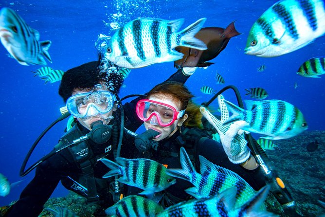 Experience Diving & Banana Boat by Boat - Conditions and Restrictions