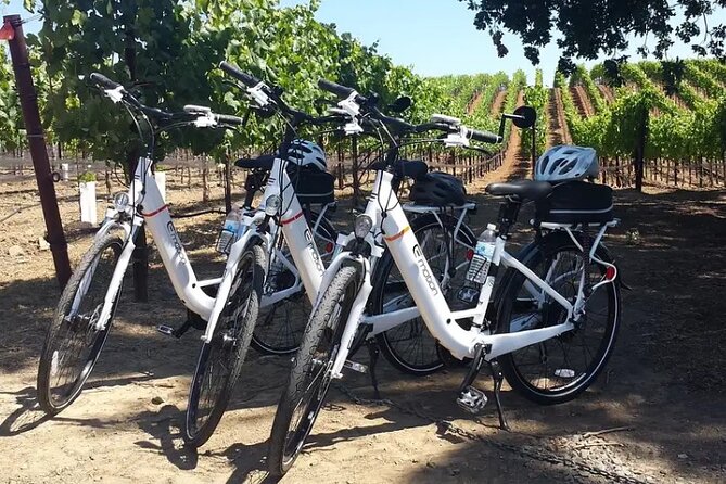 Experience E-Bike With Wine Tasting Activity - Key Points