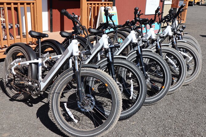 Experience E-Bike With Wine Tasting Activity - Inclusions and Requirements