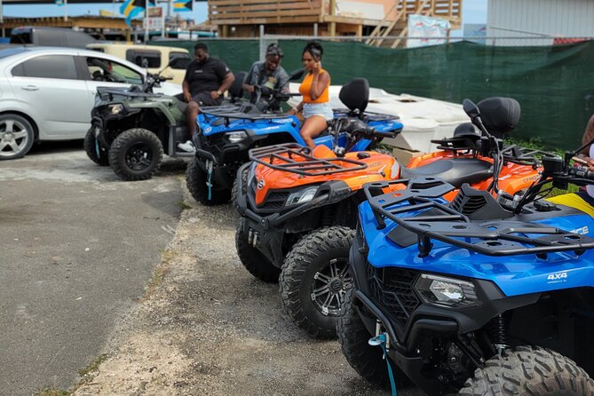 Experience Everything! Atv, Self Drive Boat, Pigs, Snorkeling - Interacting With the Friendly Pigs