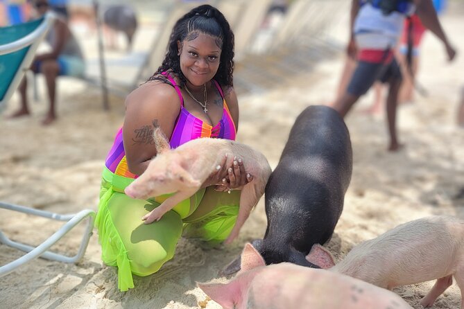 Experience Everything! Atv, Self Drive Boat, Pigs, Snorkeling - Discovering the Underwater World Snorkeling
