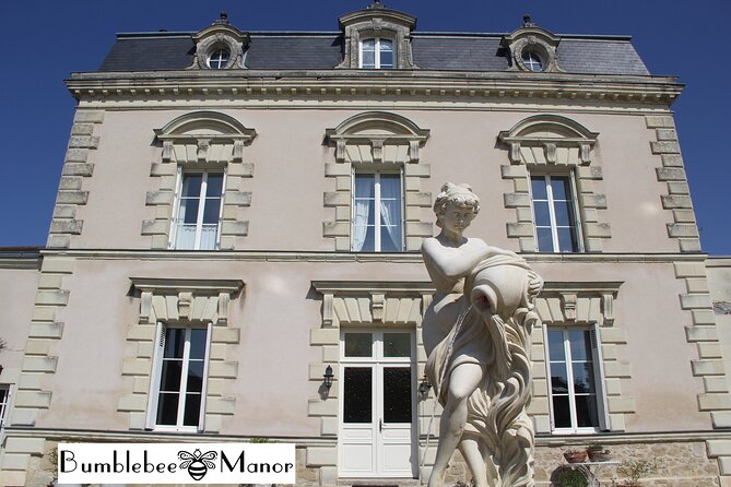 Experience France Like a Local in Bumblebee Manor - Experiencing the TGV High-Speed Train Journey