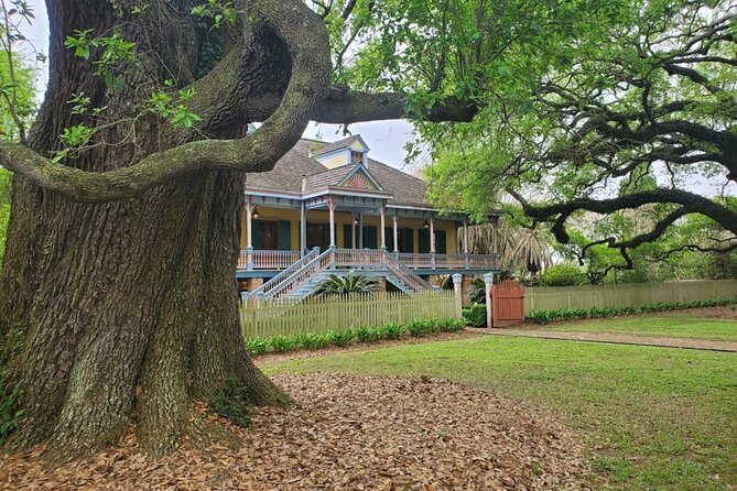 Experience Full-Day Laura Plantation & Pontoon Swamp Tour W/Transportation - Savoring Cajun Cuisine