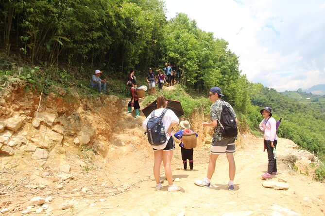 Experience Full Day Tour Sapa Trekking With Local Guide - Meeting and Pickup