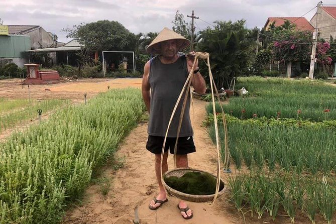 Experience Hoi an Rural Eco Tour From Da Nang or Hoi an City - Tour Overview