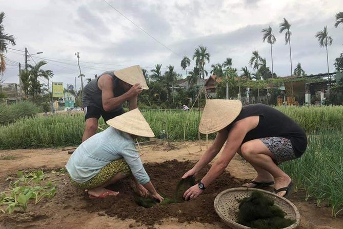 Experience Hoi an Rural Eco Tour From Da Nang or Hoi an City - Private Tour Advantages
